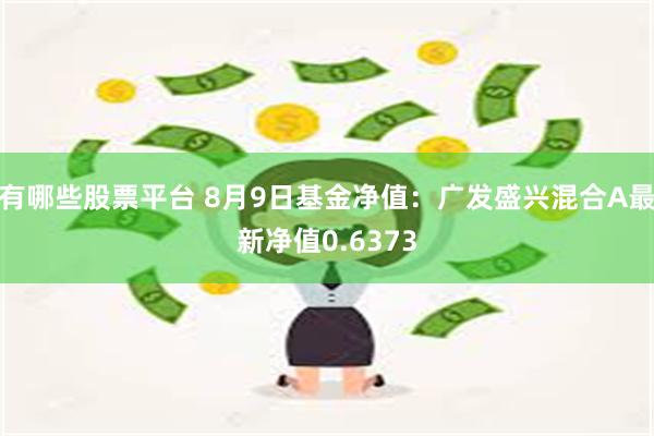 有哪些股票平台 8月9日基金净值：广发盛兴混合A最新净值0.6373