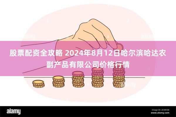 股票配资全攻略 2024年8月12日哈尔滨哈达农副产品有限公司价格行情