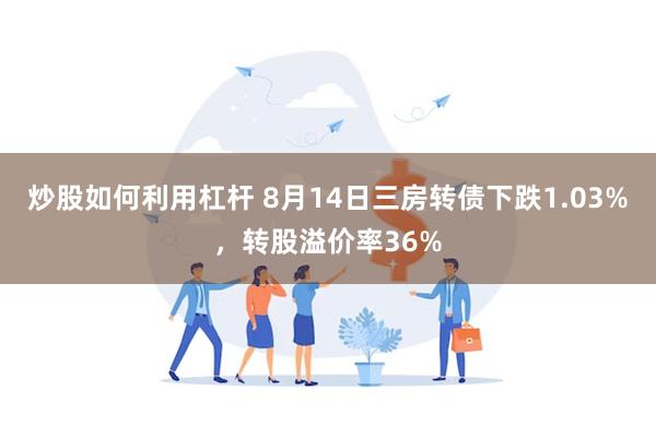 炒股如何利用杠杆 8月14日三房转债下跌1.03%，转股溢价率36%