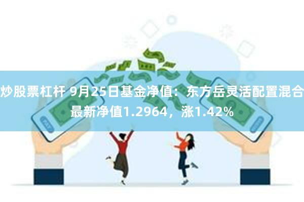 炒股票杠杆 9月25日基金净值：东方岳灵活配置混合最新净值1.2964，涨1.42%