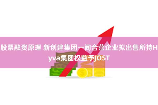 股票融资原理 新创建集团一间合营企业拟出售所持Hyva集团权益予JOST