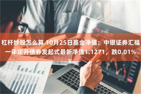 杠杆炒股怎么算 10月25日基金净值：中银证券汇福一年定开债券发起式最新净值1.1271，跌0.01%