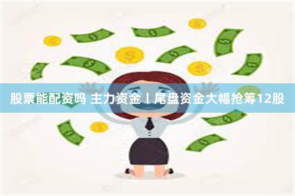 股票能配资吗 主力资金丨尾盘资金大幅抢筹12股