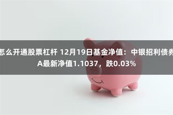 怎么开通股票杠杆 12月19日基金净值：中银招利债券A最新净值1.1037，跌0.03%