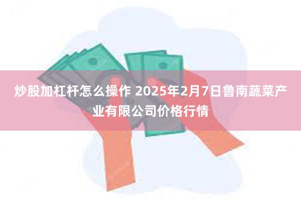 炒股加杠杆怎么操作 2025年2月7日鲁南蔬菜产业有限公司价格行情